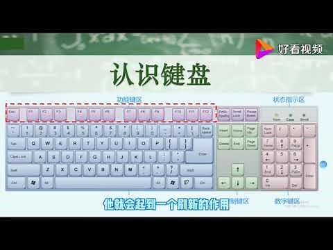 认识键盘――功能键：F1到F12的功能介绍和使用。 好看视频