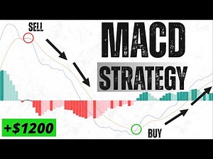 MACD Trading Strategy Explained | 2 Simple Setups for #Forex, #Crypto & #Stocks #macd