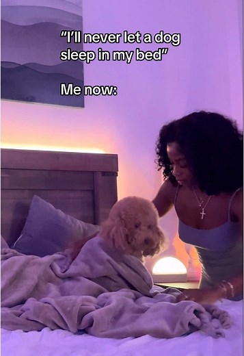 Mini Poodle Sleeping Tips for Happy Pets