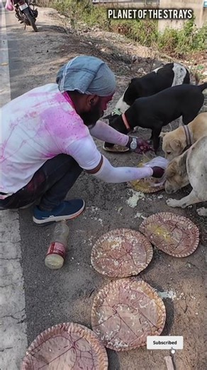 Happy Holi 🫟 But Dont Give Colours To Them🙏🏻🐾🙂 #shorts #happyholi #adoptstrays #humanity #happiness