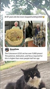 The Colosseum LEGO set has over 9,000 pieces!