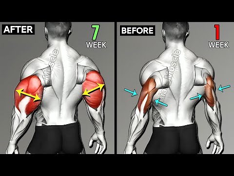 The ONLY 9 Triceps Exercises for Every Head