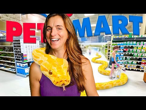 Taking My Burmese Python To PetSmart!