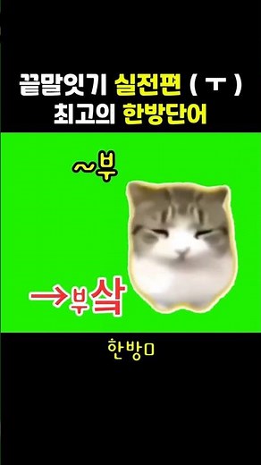 실전에서 승률 90프로 올려줄 (ㅜ) 끝말잇기 한방단어 (담담디디디디 버전) #땁이도사