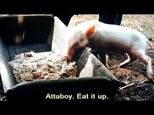 Wilbur be comes back soon