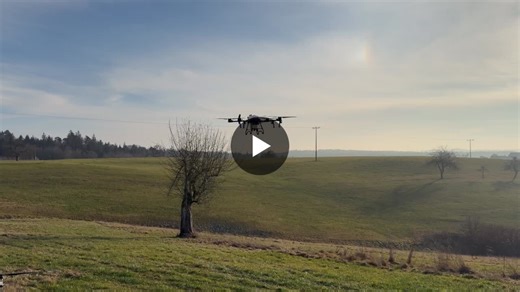 #eichenprozessionsspinner | Andreas Kämmer