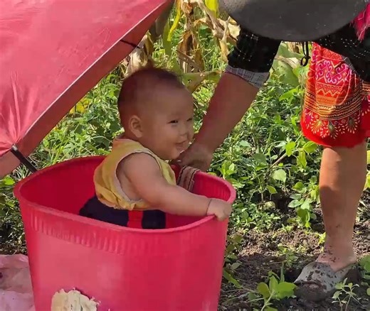 90K views · 1.2K reactions | Adorable! 7 Month Old Baby Follows Mom to Harvest Peanuts in the Field | Homeless orphans | Facebook
