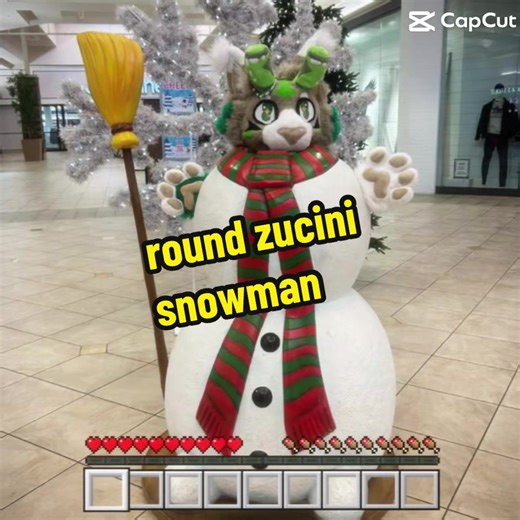 ok #furry #meme #funny #fyp #fursuit