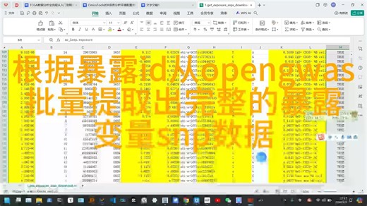 根据暴露id从opengwas批量提取出完整的暴露变量snp数据每晚11点直播教学答疑