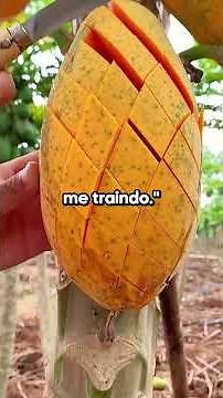 Você já rejeitou um pedido de casamento?