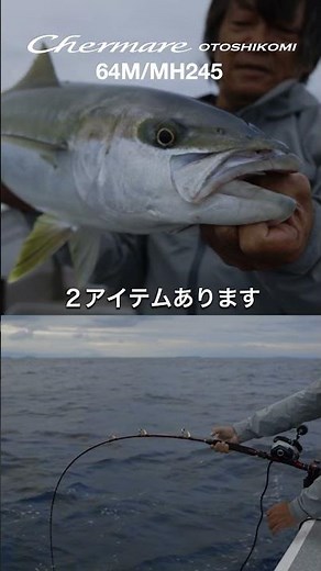 【チェルマーレ落し込み】唯一無二の超高強度追求。落し込み専用チェルマーレ #2024シマノ新製品 #高橋哲也 #落し込み