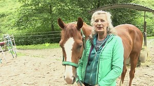 Annely rettet ausrangierte Rennpferde