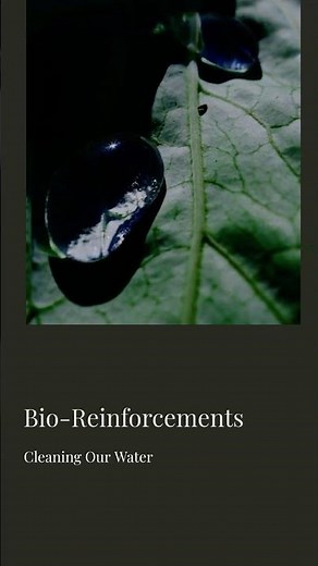 Sewage Treatment's Secret Weapon: Bio-Boosters! #sustainablesolutions