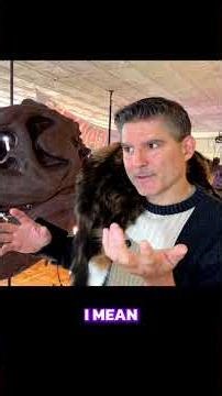 Cat Explains Intelligent Design: Watchmaker Analogy REVEALED! #shorts