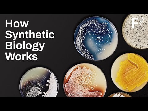 Can synthetic biology save the planet?