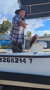 What are all these fish I caught? Your Saltwater Guide is Sponsored by Deckhand Sports. | Your Saltwater Guide