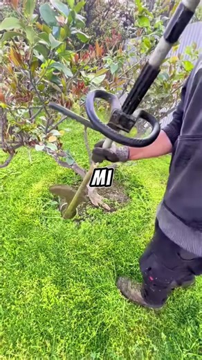 La Obsesión de Jacqueline: Conflicto Familiar en la Maternidad