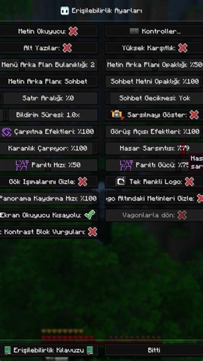 vanilla minecraft da nasıl hurt cam azaltıp kapatılır?