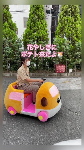 浅草花やしきのモルカー体験の詳細