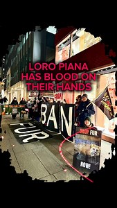 1.8K reactions · 165 shares | One of the stores under LVMH - @loropiana - still continues to sell real fur. Shame on them. It was Fur Free Friday and the police came out in force. We’re the peaceful ones tho. We don’t violently kill fur bearing animals. With FurFree Toronto & Direct Action Everywhere Toronto #furkills #FurFreeFriday #AnimalRights ##FurFreeToronto #Fur #GoVegan #caftusa CAFT - Coalition to Abolish the Fur Trade | Jenny McQueen | Facebook