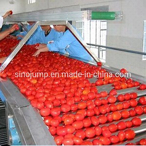 [Hot Item] Fresh Tomato Cleaning and Packing Machine Weigh Sizing and Packing Machine