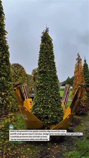 Giant Tree Transplanting Machine in Action 🌳🚜 #TreeSpade #FarmingTech #HeavyEquipment