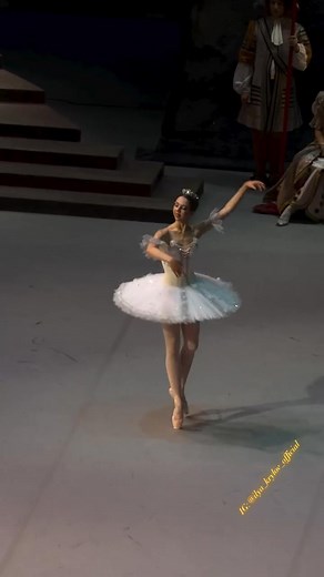 The Sleeping Beauty @Arina Denisova @Bolshoi Theatre @Ilya Krylov | Ballet Mon Amour