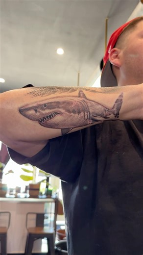 Shark Tattoo As An Apprentice