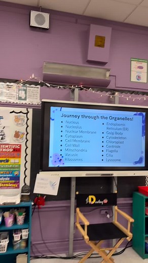 . Our 7th graders went on an organelle journey today! 匿✨ They traveled around the room, explored plant and animal cell stations, and took notes to uncover each organelle’s function and characteristics. Science in motion! 溺 | Divine Wisdom Catholic Academy | Facebook