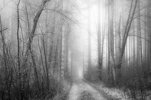 Books to Read if You Absolutely Love Taylor Swift's folklore