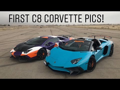 PLEASE STOP TRESPASSING