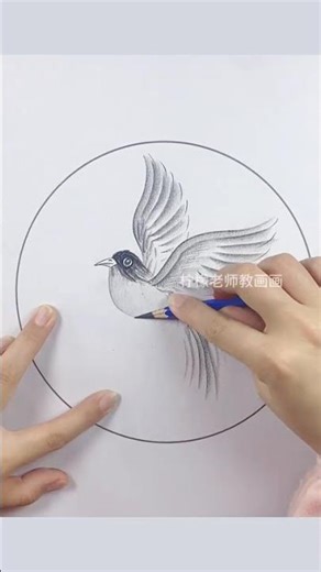 Learn to Draw Birds Step-by-Step: From Beginner to Pro