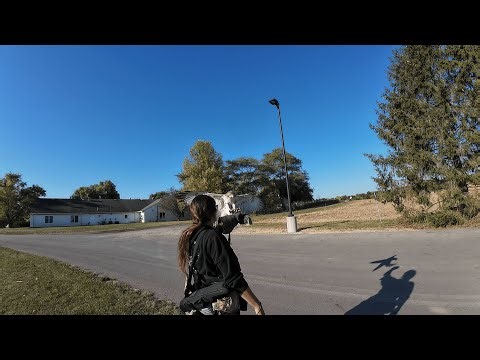 Emily's FIRST Free Flight with Her NEW Red-Tailed Hawk! (Hunting for Rabbits)