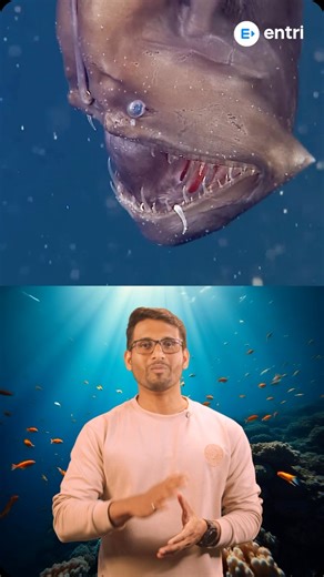 Entri App മലയാളം on Instagram: "മരിയാന ട്രെൻജിന്റെ ആഴങ്ങളിലേക്ക് ഒരു യാത്ര നടത്തിയാലോ"