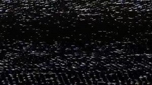  Campeón del Mundo 2006 ‬ ‪ 8 Scudettos de Italia‬  1 Copa Italia...