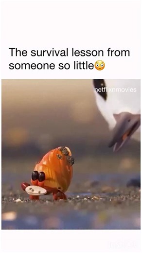 memes and movies account on Instagram: "Love the meaning of the movie 🎥 piper: A mother bird tries to teach her little one how to find food by herself. In the process, she encounters a traumatic experience that she must overcome in order to survive. 📺 watch on: Disney plus #explorepage #explorepost #funnymemes #memes #memestagram #memesdaily #wholesome #wholesomememes #fashion #fashionstyle #jokes #movie #movies #viralmovies #moviescenes"