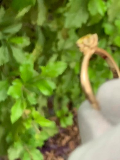 Sorry guys falling little bit behind with posting recent creations. I will be showing a lot more beautiful rings within next couple of days. This one here is a 1.0ct yellow sapphire set in 18k yellow gold, notice the woven tulip setting. | Australia Sapphire