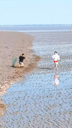 1.1M views · 4.5K reactions | #reels #fbreels #virals #amazing #wow #fish #ikan #fishing #mancingmania #udang #world #chatfish #mancingmaniamantap #pancing #angler #animal #hewan #bigfish #toman #tomanmonster #bird #ell #sibolang #jejakpetualang #reelsindonesia | Animea | Facebook