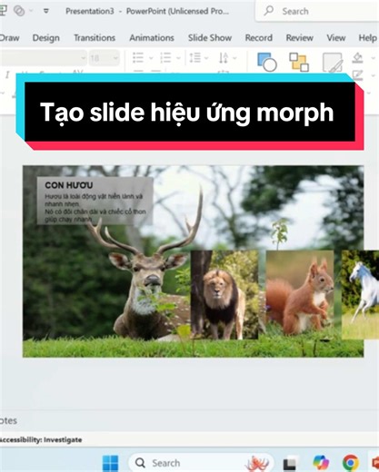 Tạo slide hiệu ứng morph #powerpoint #hocpowerpoint #powerpointtutorial #background #morph #flyin #thuthuatmaytinh #topxuhuong