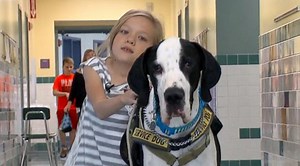This Little Girl Couldn't Walk - Until She Met Her REALLY Great Dane