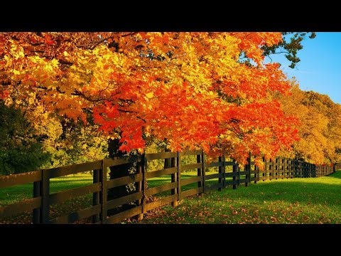 OCTOBER AUTUMN TRAILS OF FALL, BEAUTIFUL RELAXING MUSIC, PEACEFUL PIANO MUSIC.