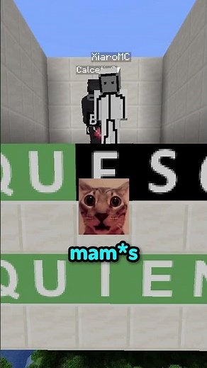 QUEEE 😨 #truedialogue #minecraft #shorts