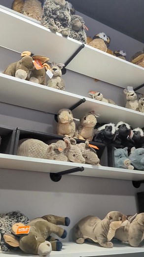 Spoiler alert!! This is everything you will get to see, do, pet, feed, and shop when you arrive for your tour at Westmeister Farm! If you want to be surprised by your visit, then SKIP THIS VIDEO!! #WestmeisterFarm #Ohio #ShelbyOhio #PrivateTour #BestDayEver #ExoticAnimalFarm #ExoticAnimalEncounter #SmallBusiness #LocalBusiness #FarmLife #Capybara #Armadillo #Otter #Kangaroo #Donkey #Pig #Goat #Owl #Porcupine #Horse #Zebra #Turtle #HighlandCow | Westmeister Farm Animal Encounters