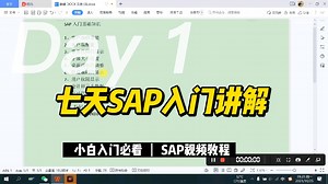 7天SAP入门讲解SAP入门课:SAP系统