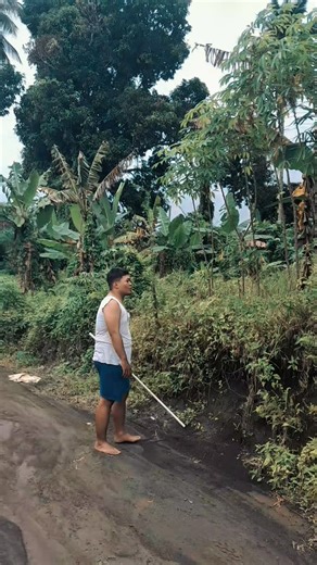 OrlandoZamorano on Instagram: "YAHH abisss noh konten🥹 Bagi yang dapa pa dia moh dapa imbalan rica deng ubi so dri rubus 🤣🤣🤣 #fyp #reelsfyp #viralreels #reels #fypreels Jang tllu serius tanggapi neh guyss ini hanya konten 🤣 Deng guyss jang lupa ba uni dri video pertama spya konek jalan cerita 🤣🤣 see youu besok 🫶"
