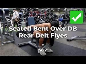 Seated Bent Over Dumbbell Rear Delt Flyes (Tutorial + Tips) | Team Evolve