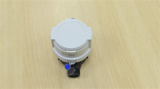 Younio Single Jet Dry Type Water Meter Class C with Plastic and Copper Glass Register OEM Customizable