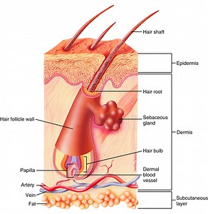How it Works - Polar Cold Caps