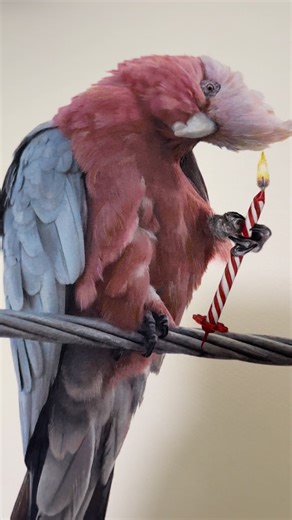 You Flaming Galah! 12 hours of pure, drawing joy using @Caran d’Ache pencils. #aussie #galah #art #language