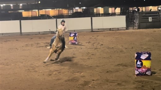 💜💜❤️#ifyoucandreamityoucandoit #keepyourpromiseperformancehorses #courageoverfear